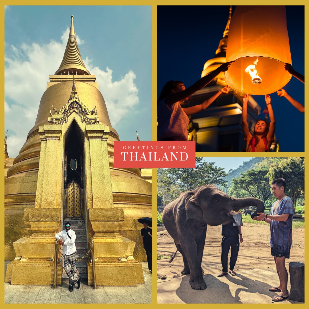 WhatsApp Image 2026-02-03 at 20.34.41